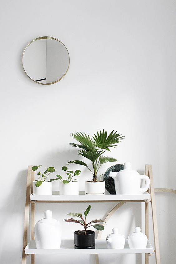 plant shelf